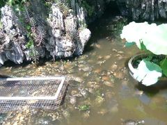 -八景休閒山莊  廣東十大名山莊
