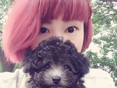 -爱侣·安琦尔宠物医院·中兽医针灸·心内科·狂犬免疫点(宝山区院)