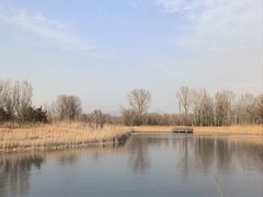 -野鸭湖国家湿地公园