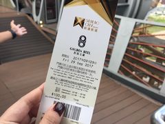 -影汇之星8字形摩天轮