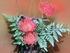 -觀芷隐轩