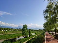 -洨河生态公园