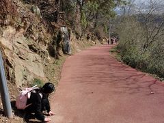 -敬亭山风景名胜区