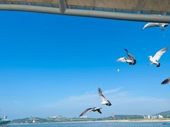 -海驴岛(荣成市)