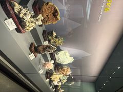 -湖南省地质博物馆