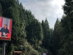 -山王坪喀斯特国家生态公园
