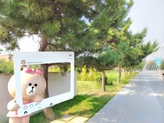 -日照海滨国家森林公园