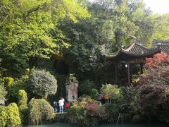 -杭州黄龙洞