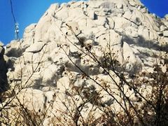 -崂山巨峰游览区