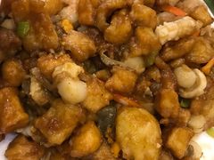 鸿运八珍豆腐-桃子餐厅·天津菜(红星路直营店)