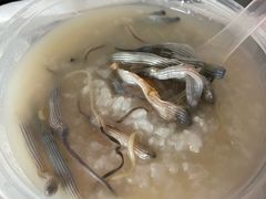 -盛燕泥丁粥