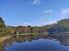 -长广溪湿地公园
