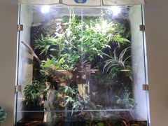 门面-小意思咖啡店(草桥店)