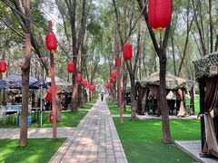 -草根堂农场
