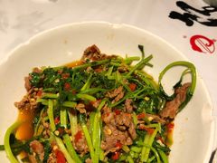 -壹盏灯(惠农店)