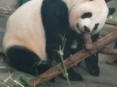 -无锡动物园·太湖欢乐园