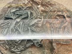 -大同煤炭博物馆