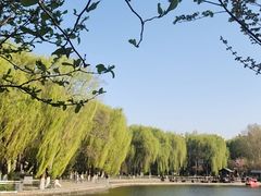 -裕华世纪公园