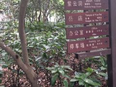 iphone_upload_pic-杭州黄龙洞