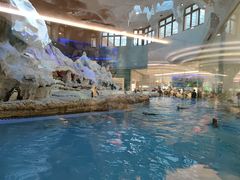 -帝企鹅自助餐厅•儿童岛•真企鹅(长隆企鹅酒店)