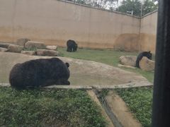 -上方山森林动物世界