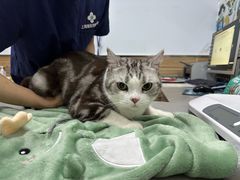 -爱侣宠医·鹦鹉专科·小型哺乳类·异宠专科(灵石路店)