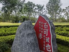 -上海山野camping·户外天幕烧烤·团建拓展营地
