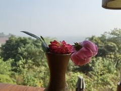 -远山有窑