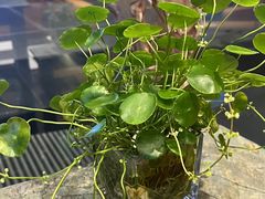 -哈尔滨中央大街华特酒店