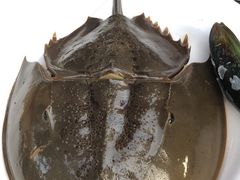 -芭提雅Amporn Seafood自助餐厅