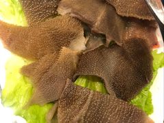 -呷哺呷哺(松江开元店)