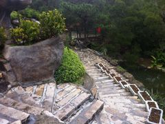 -厦门园林植物园-植物园滴水山房
