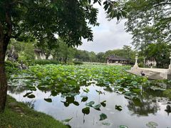 -惠州西湖丰渚园