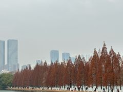 -食膳公园包子铺(烈士公园店)