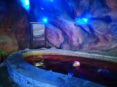 -中家鑫园温泉酒店鑫悦汤泉