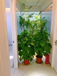 -西美医疗美容门诊部