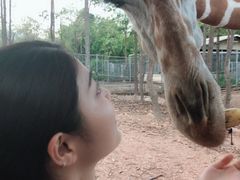 -清迈夜间动物园