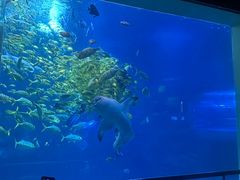 -太平洋海底世界