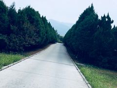 -秦始皇帝陵博物院-丽山园