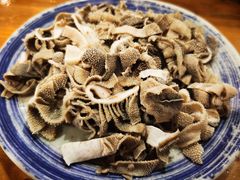 羊散丹-金生隆(六铺炕店)