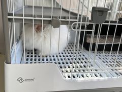 -小意思咖啡店(草桥店)