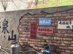 -桃源山庄·水蜜桃采摘·柴火鸡·烧烤团建(龙泉山店)