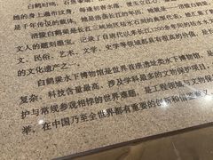 -白鹤梁水下博物馆