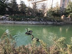 -芭东小镇温泉