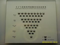 -洛阳周王城天子驾六博物馆