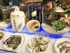 -裕龙汤泉