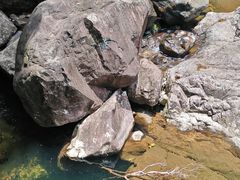 -花岩国家森林公园