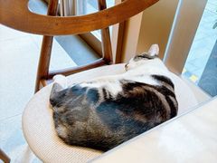 -Peet's Coffee皮爷咖啡(豫园店)