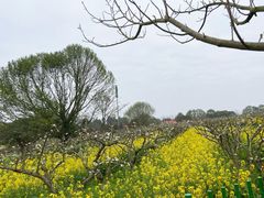-凤凰沟景区