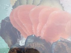 -小八仙·宴(三峡茶庄店)